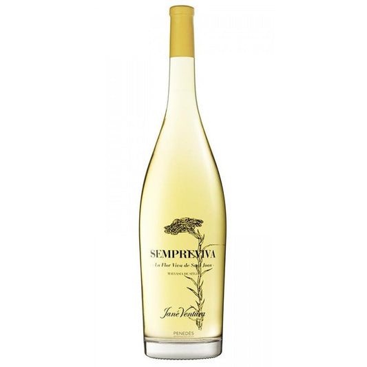 Free Jané Ventura Sempreviva Malvasia de Sitges 2020 Gift Jané Ventura __hidden bonsai_excluded Exclude From Back In Stock exclude_rebuy exclude_recommendations exclude_review hidden Hidden recommendation Hide judgeme_excluded NO nocart not-on-sale SEARCHANISE_IGNORE spo-default spo-disabled