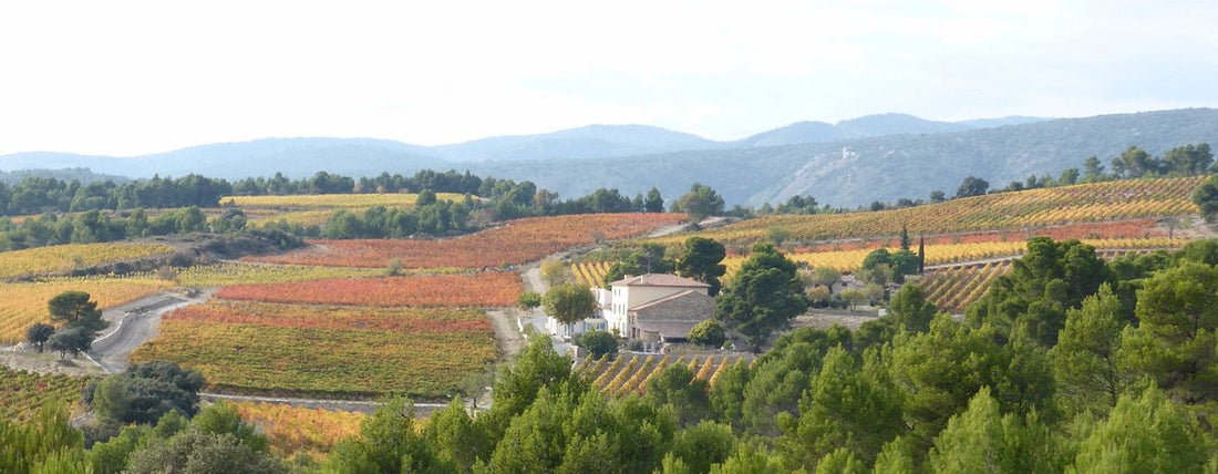 高分Daily Dram：6款南法Languedoc-Roussillon （上）
