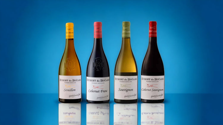Vang Pháp Hubert De Bouard Sauvignon